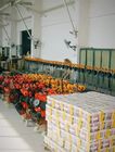 5 Tonnen-manuelle Hebel-Kettenhebemaschinen-Flaschenzug-Minigrößen-internationaler Standard